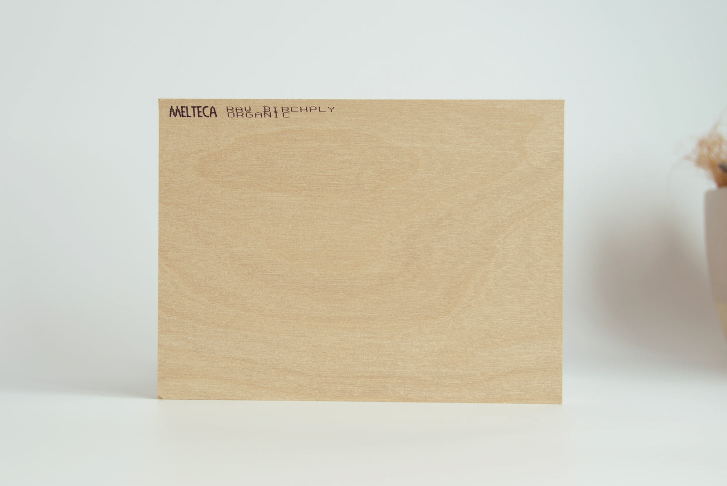 Alpha Single + Flat Pack Cabinetry Murphy Bed Kit