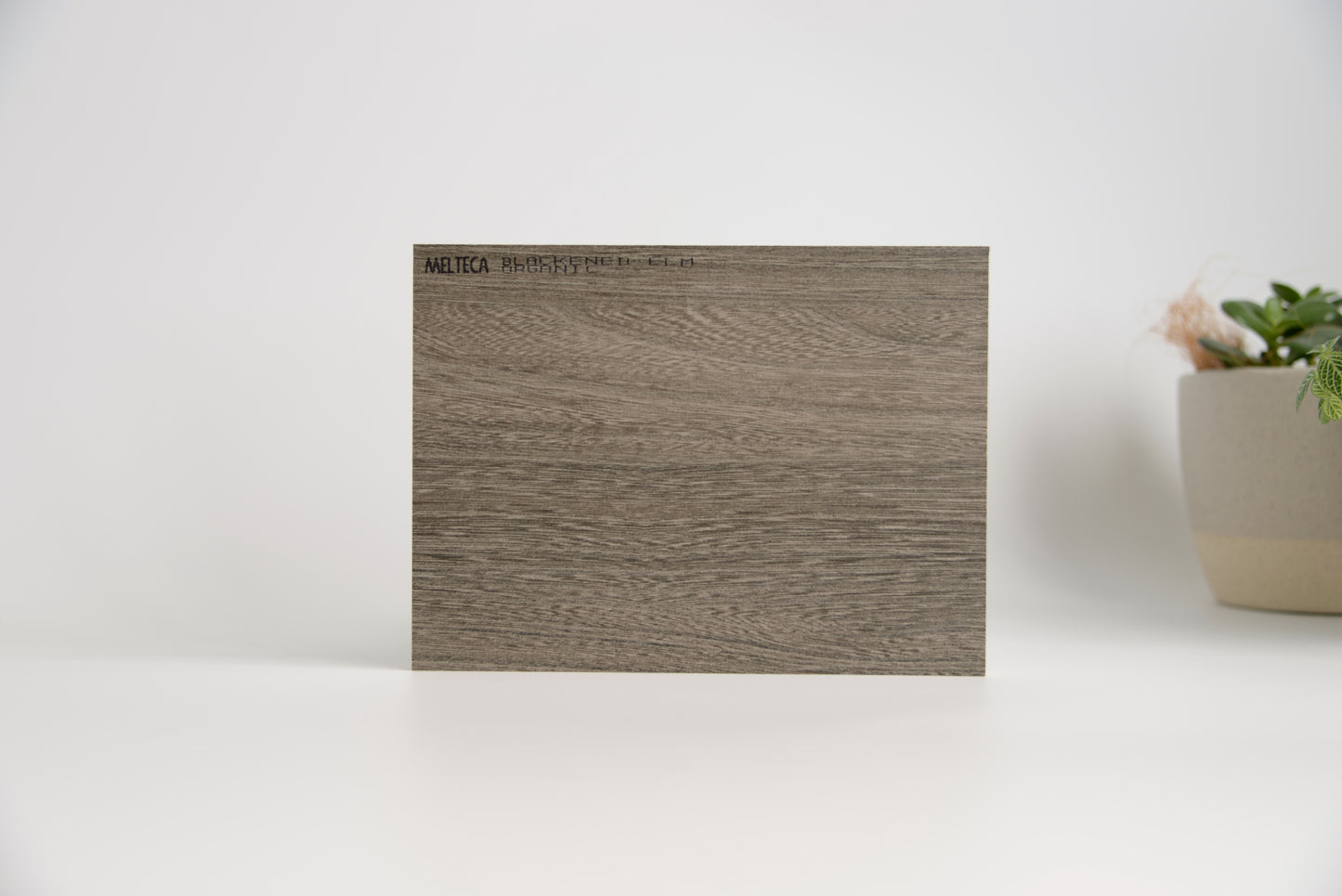 Alpha Queen + Flat Pack Cabinetry Murphy Bed Kit