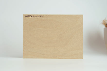 Alpha Single + Flat Pack Cabinetry Murphy Bed Kit