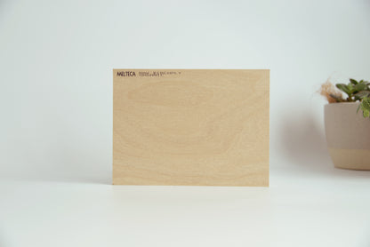 Alpha Queen + Flat Pack Cabinetry Murphy Bed Kit